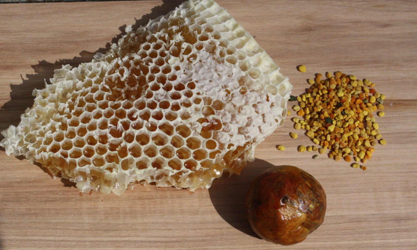 Bienencompany